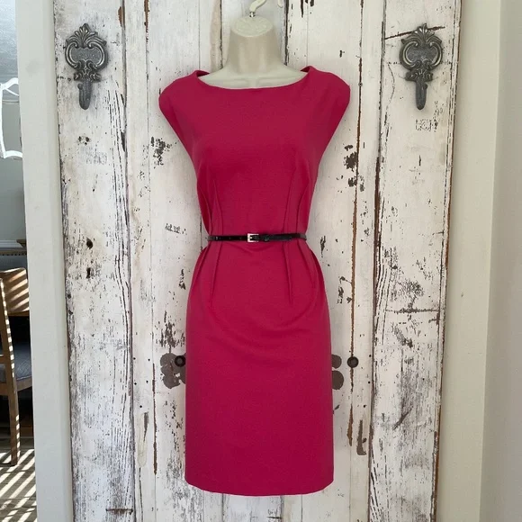 LOFT Dresses Ann Taylor Loft Size 6p Petite Womans Pink
